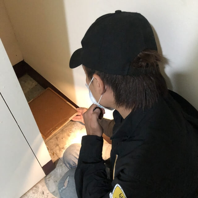 鼠害防治施作現場